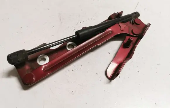 Ford Mustang V Tailgate/trunk/boot hinge