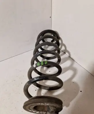 Rear coil spring