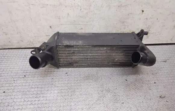 Alfa Romeo 166 Intercooler radiator 1700228 60654093