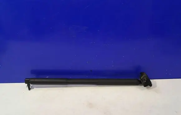 Mercedes-Benz GLS X166 Tailgate/trunk strut/damper A1669803764