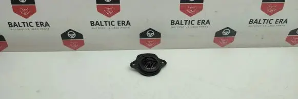 Tesla Model 3 Panel speaker 109873700B 0508200847A