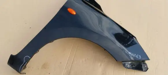Suzuki Celerio Fender blotnikppcelr