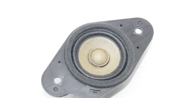 Ford Fiesta Panel speaker H1BT18808DA