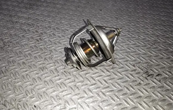 Thermostat/thermostat housing