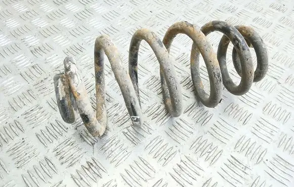 Rear coil spring