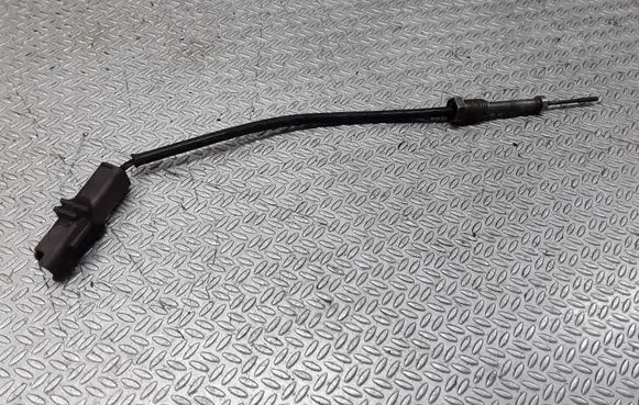 Peugeot 407 Exhaust gas temperature sensor 9651618180