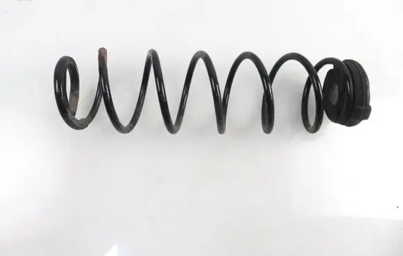 Renault Laguna II Rear coil spring 