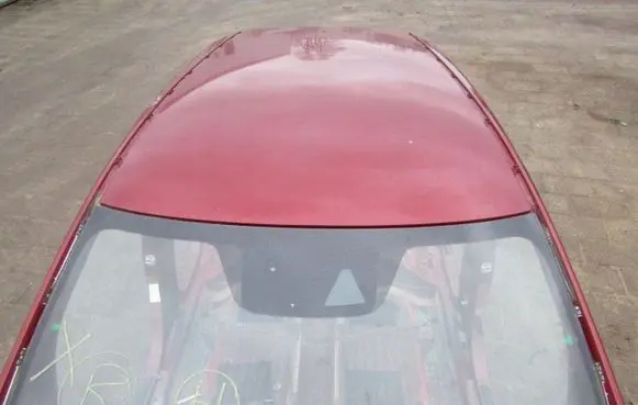 Nissan Leaf II (ZE1) Roof 