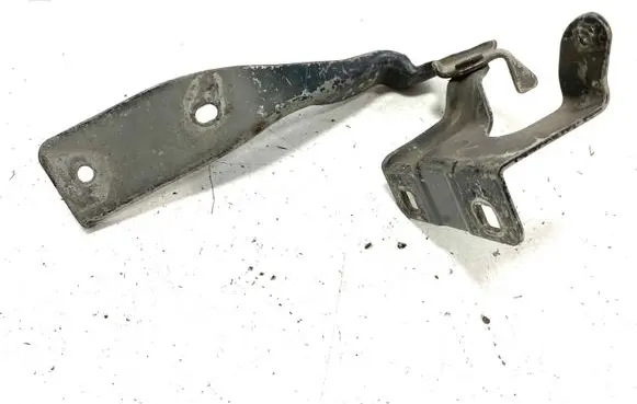 Renault Koleos I Engine bonnet/hood hinges 65401JY00A