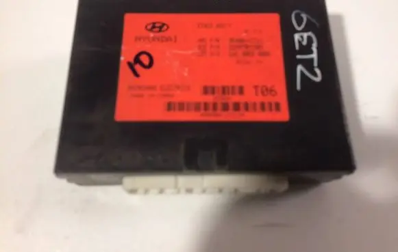 Hyundai Getz Other control units/modules 954001C311