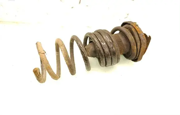 Rear coil spring