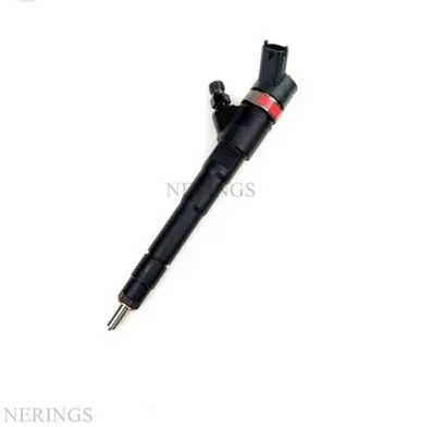 Fiat Ducato Fuel injector 0986435248 0445110418