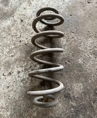 Rear coil spring