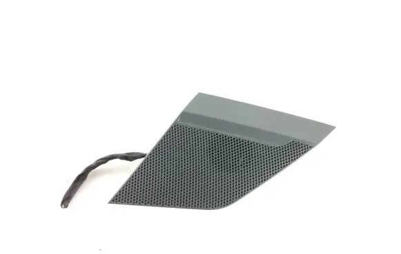 Audi e-tron Panel speaker 