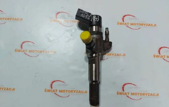 Citroen DS4 Fuel injector 9802448680