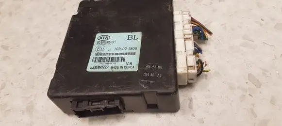 KIA Sorento Door central lock control unit/module 954003E310 10R021806