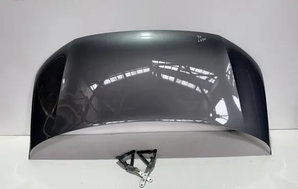 Volkswagen Multivan T6 Engine bonnet/hood