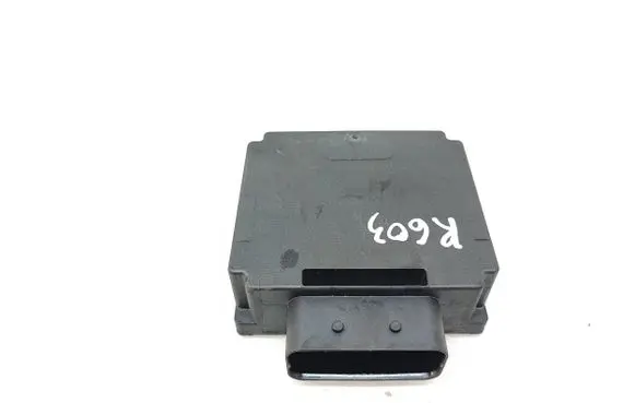 Volkswagen Transporter - Caravelle T5 Other control units/modules 3AA919041A 8ES01045220 0311798333