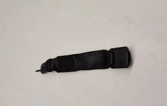 BMW 6 F06 Gran coupe Middle seatbelt buckle (rear) 7244836