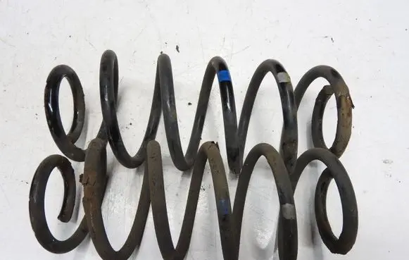 Toyota Urban Cruiser (XP110) Rear coil spring