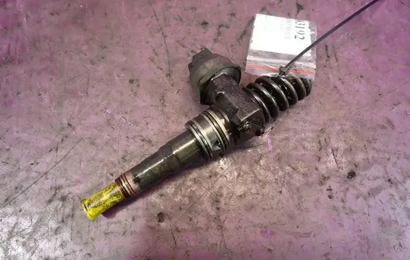 Volkswagen PASSAT B5.5 Fuel injector 