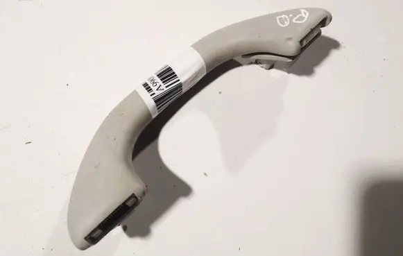 Volkswagen PASSAT B6 Front interior roof grab handle