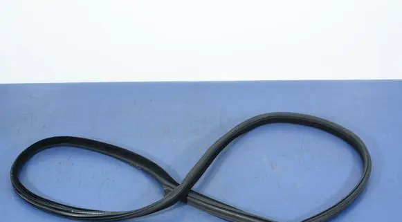 BMW M6 Front door rubber seal 