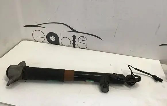 Lexus RX V Rear shock absorber/damper 4854048530 221031B 0049029
