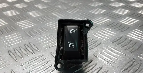 Renault Latitude (L70) Cruise control stalk 
