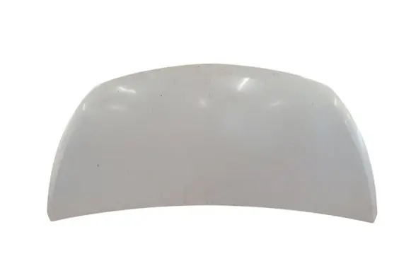 Engine bonnet/hood