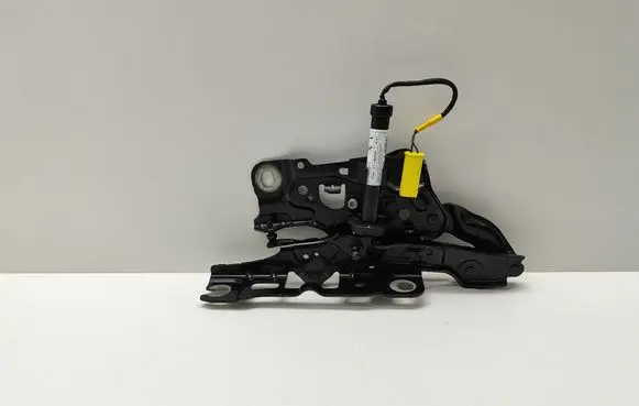 BMW 5 G30 G31 Engine bonnet/hood hinges 7347407 7435797 743579703