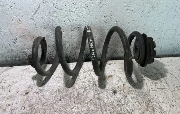 Nissan Qashqai Rear coil spring