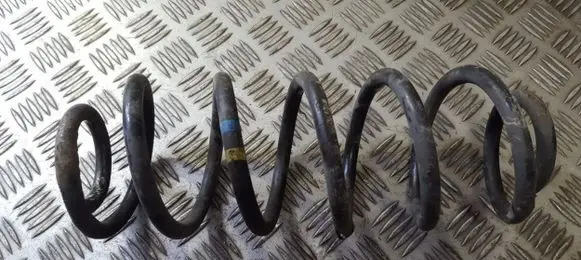 Volkswagen Golf V Rear coil spring