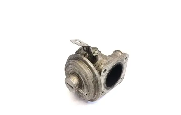 EGR valve