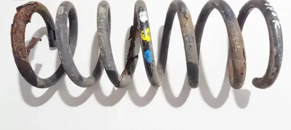 Ford S-MAX Rear coil spring