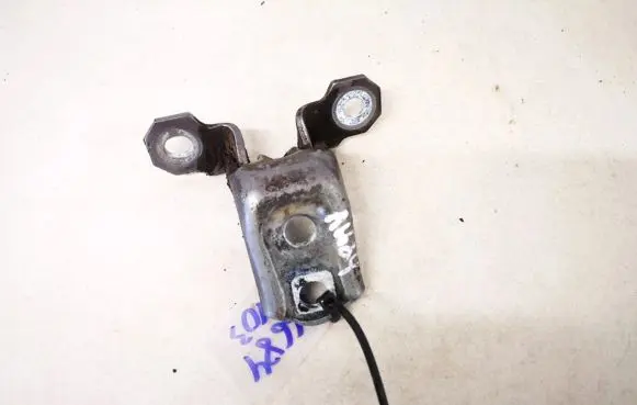Renault Laguna II Rear door lower hinge