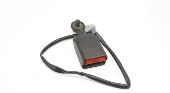 Tesla Model S Middle seatbelt buckle (rear) 101879100D