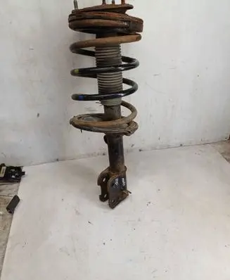 Hyundai Santa Fe Front shock absorber with coil spring