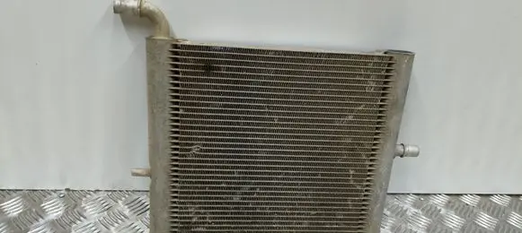Land Rover Range Rover Sport L494 Optional radiator FPLA8D048AA