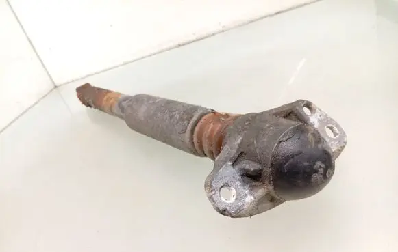 Volkswagen PASSAT B7 Rear shock absorber/damper
