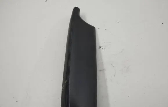 Other rear door trim element