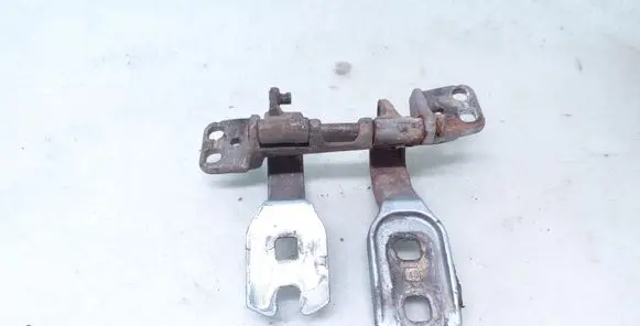 Tailgate/trunk/boot hinge