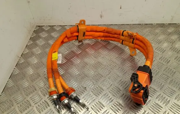 MG ZS Other wiring loom 10824432