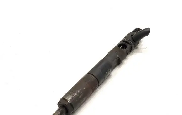 Renault Kangoo II Fuel injectors set 8200815416
