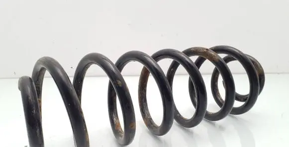 Rear coil spring
