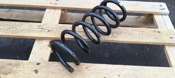 Chevrolet Captiva Rear coil spring