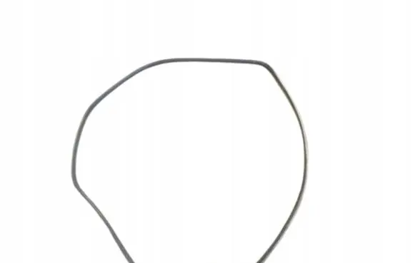 Fiat Sedici Rear door rubber seal (on body) 