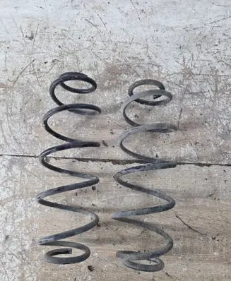 Rear coil spring