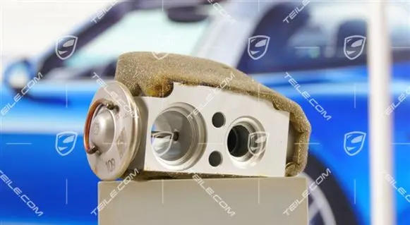 Porsche Cayenne (9PA) Air conditioning (A/C) expansion valve 95557231911