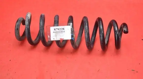 Rear coil spring